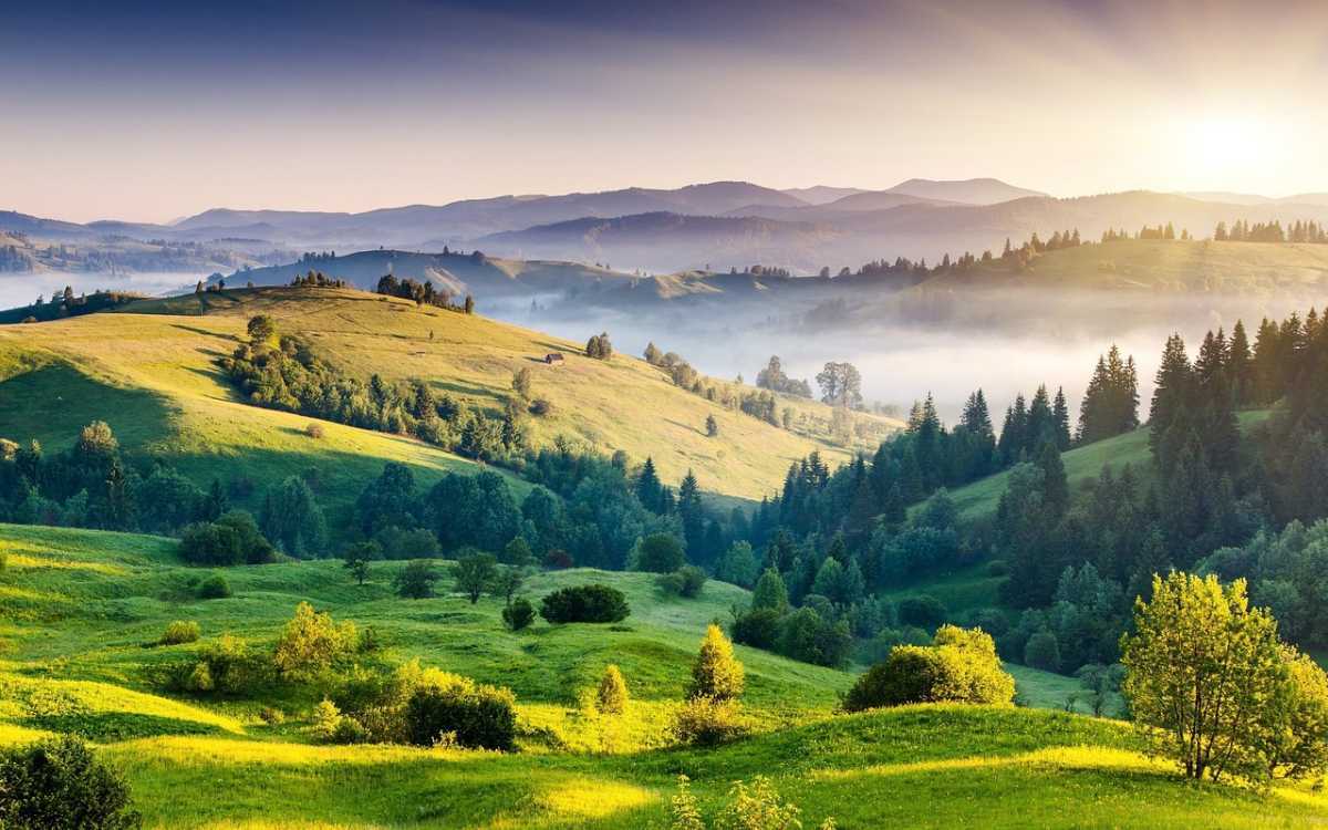 Kodaikanal tour from Tiruppur