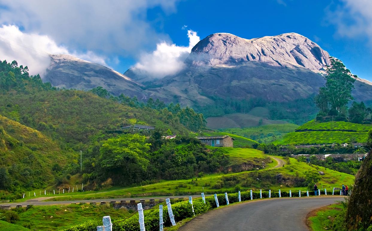 Munnar tour from Tiruppur