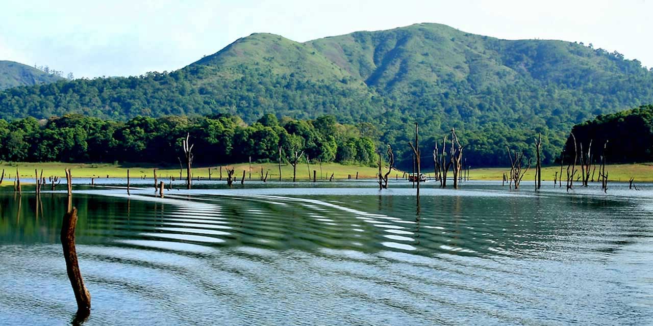 Thekkady tour from Tiruppur